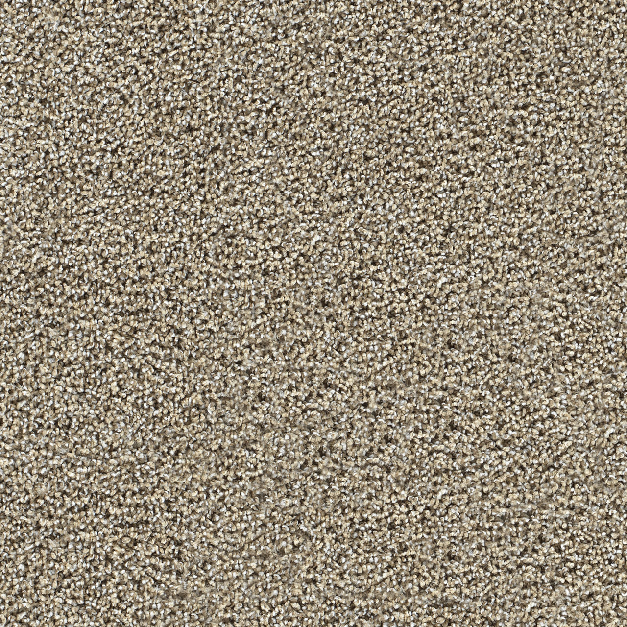 Pine Log Captivating III swatch