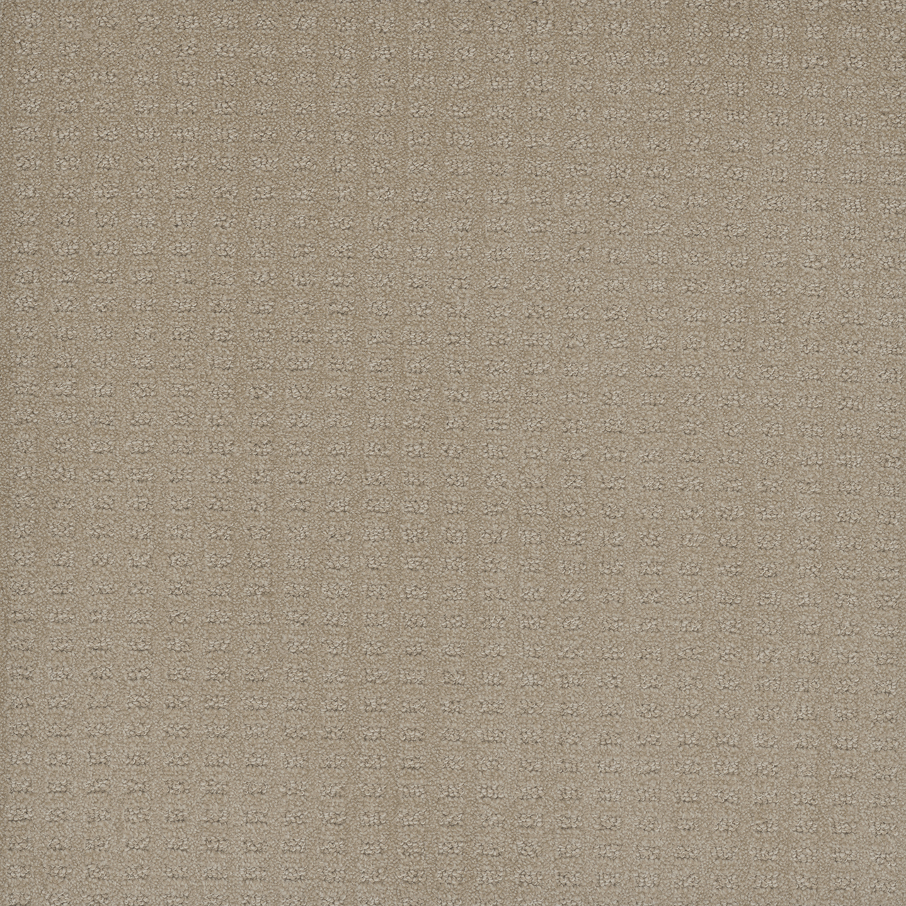 Soft Pine Caspian swatch