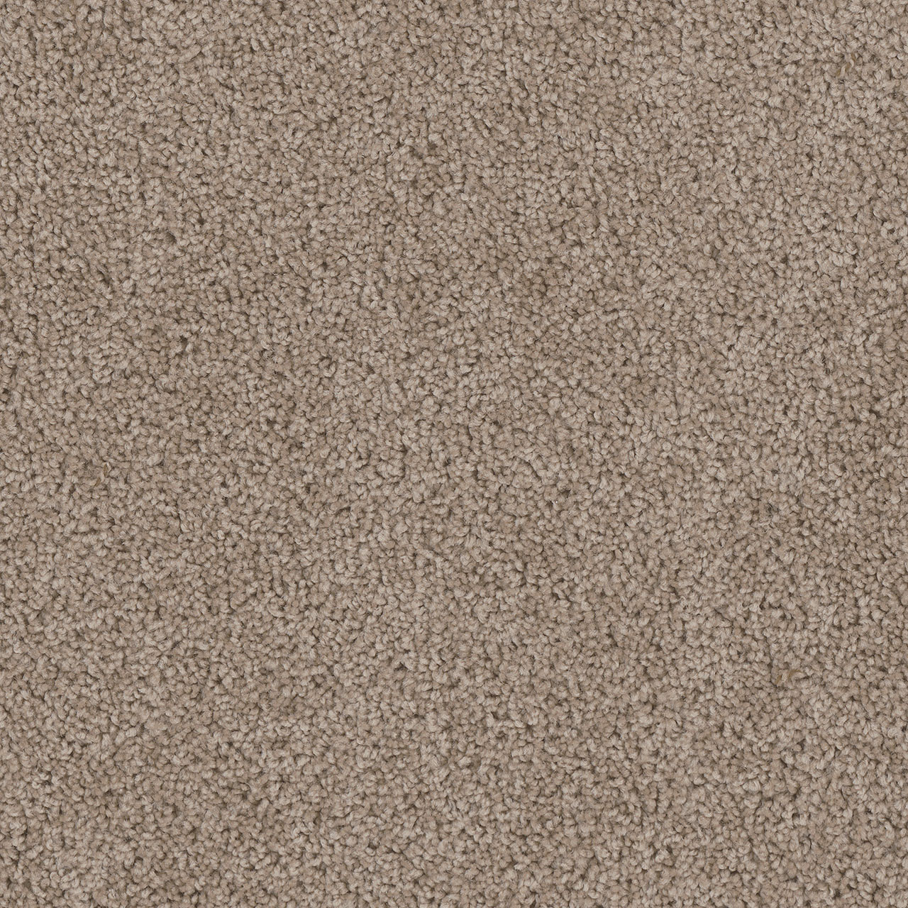 Ash Cedar Creek swatch