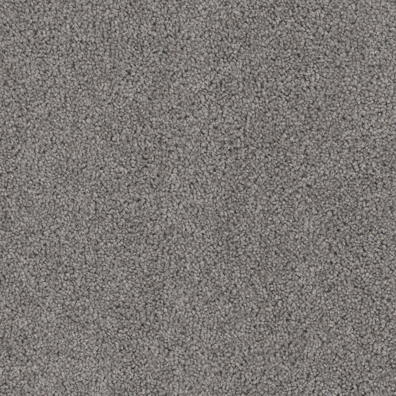 Bayside Cedar Creek swatch