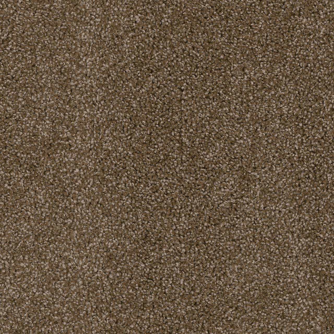 Black Walnut Cedar Creek swatch