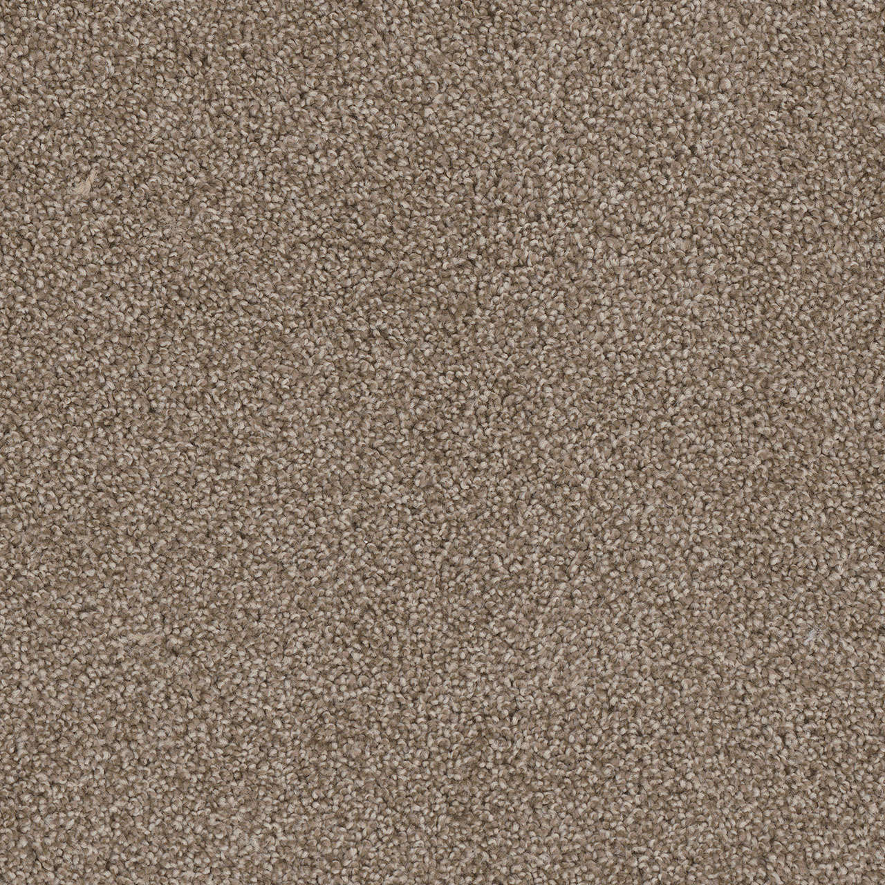Buff Cedar Creek swatch