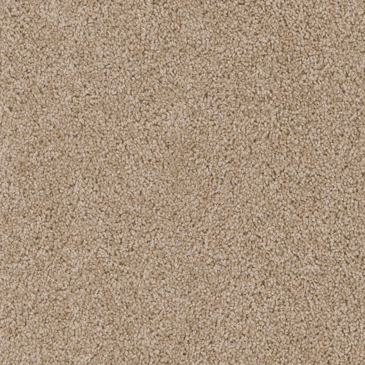 Camel Cedar Creek swatch