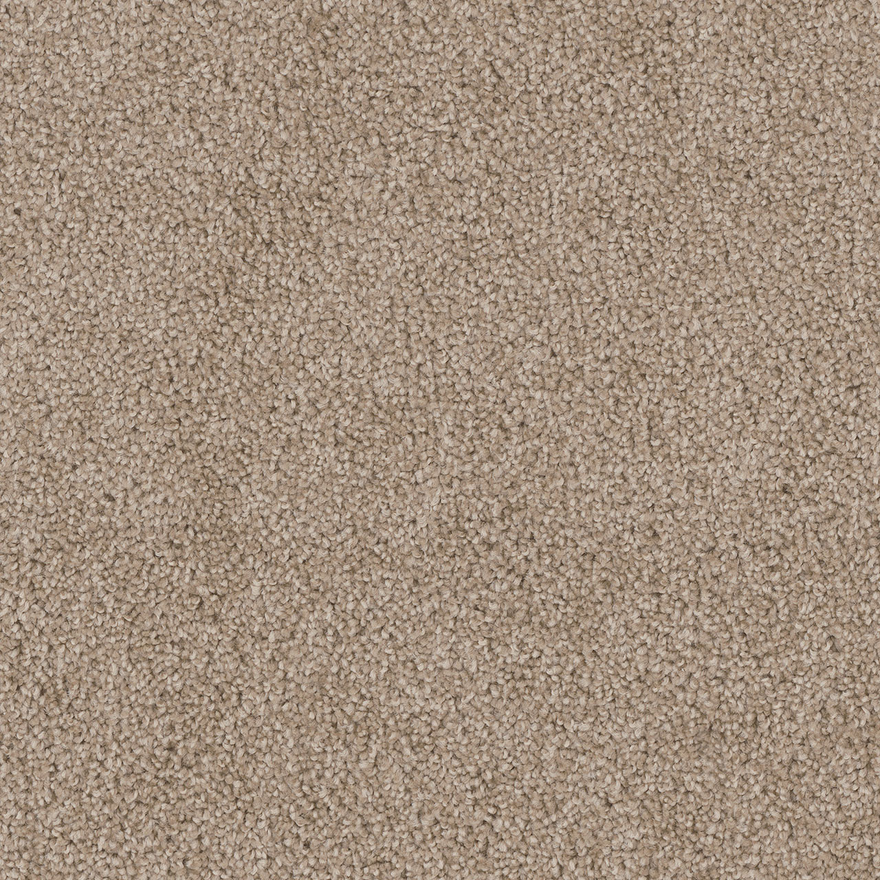 Canyon Cliffs Cedar Creek swatch
