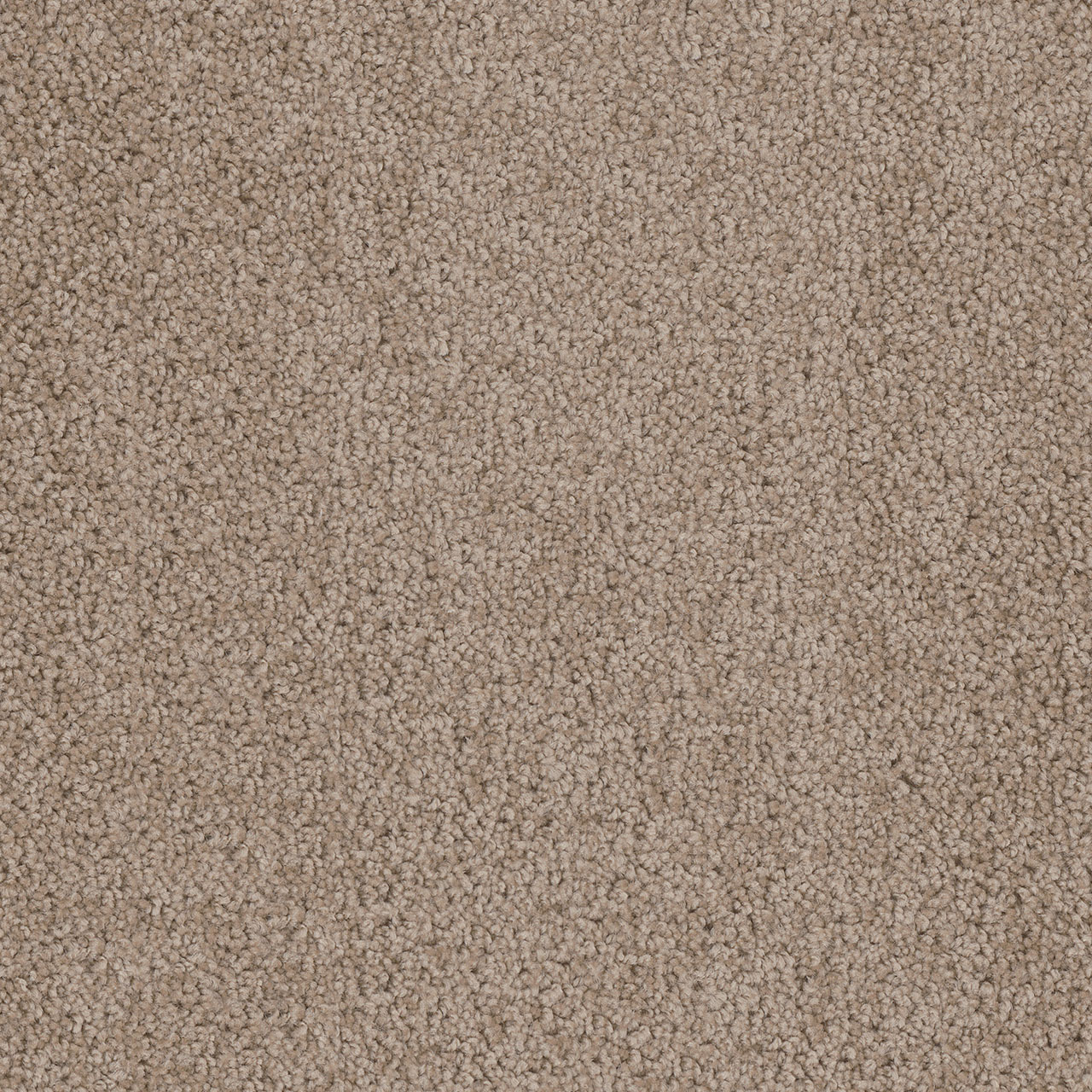 Doeskin Cedar Creek swatch