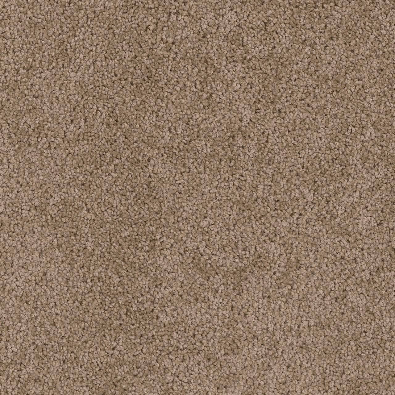 Dove Cedar Creek swatch