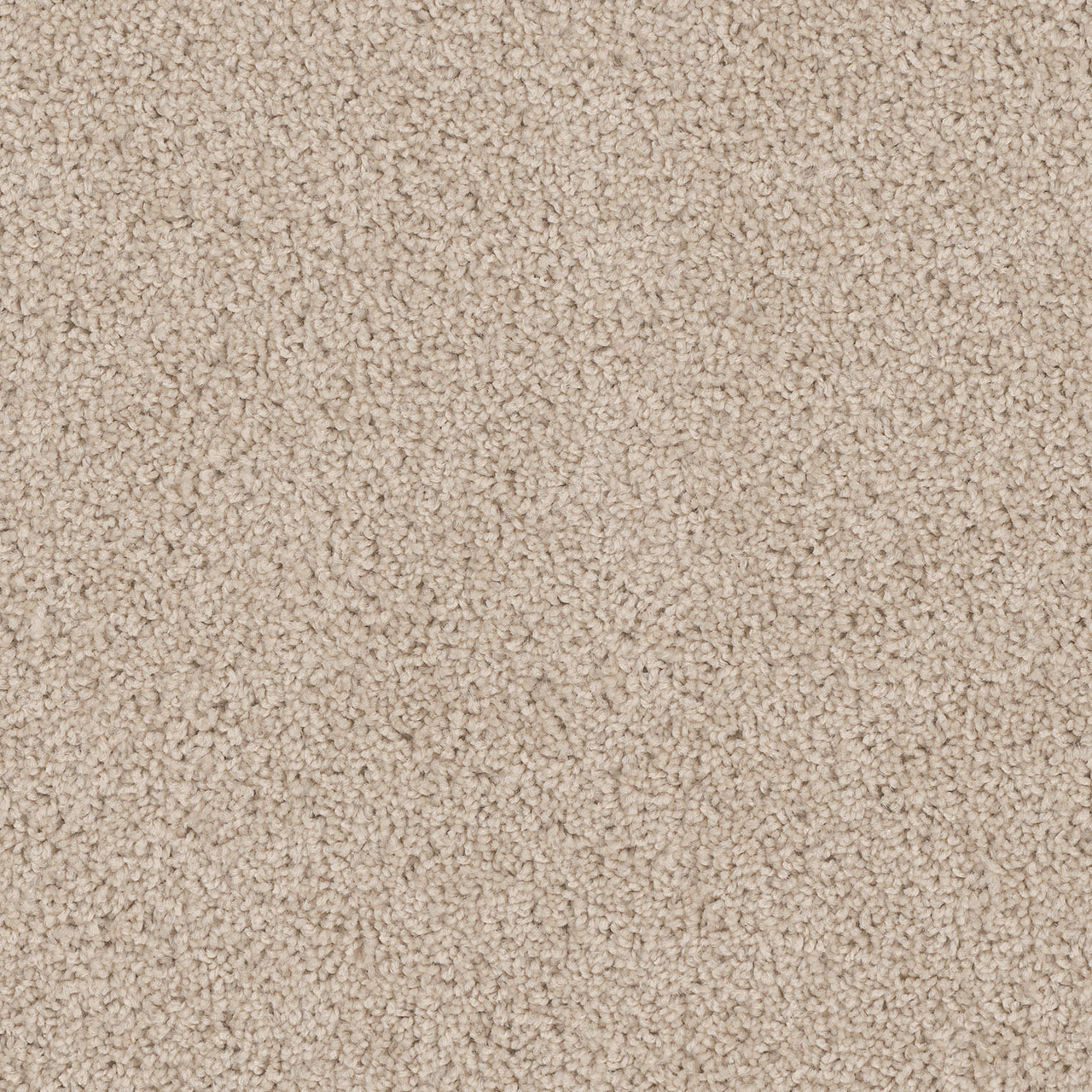 Eggshell Cedar Creek swatch