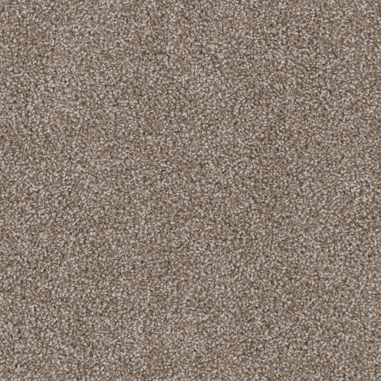 Harbor Cedar Creek swatch
