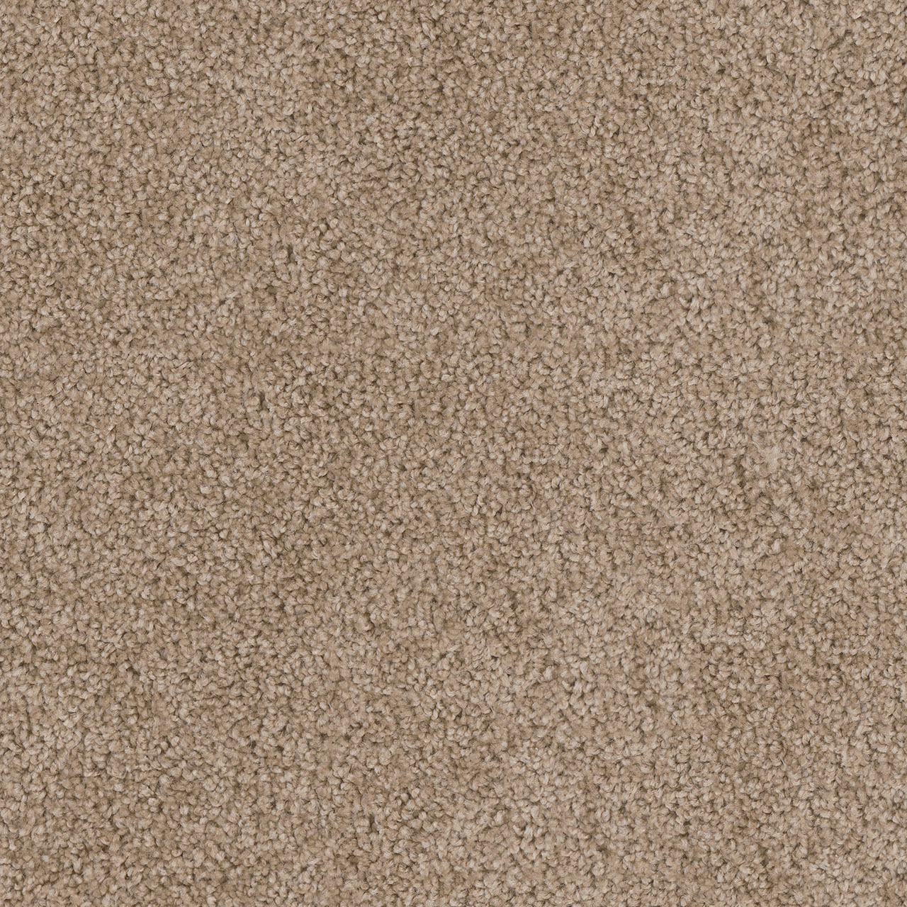 Honey Beige Cedar Creek swatch