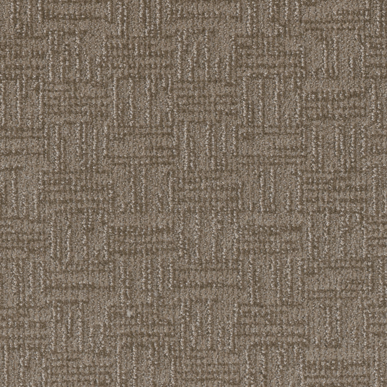 Warm Autumn Classic Elements swatch