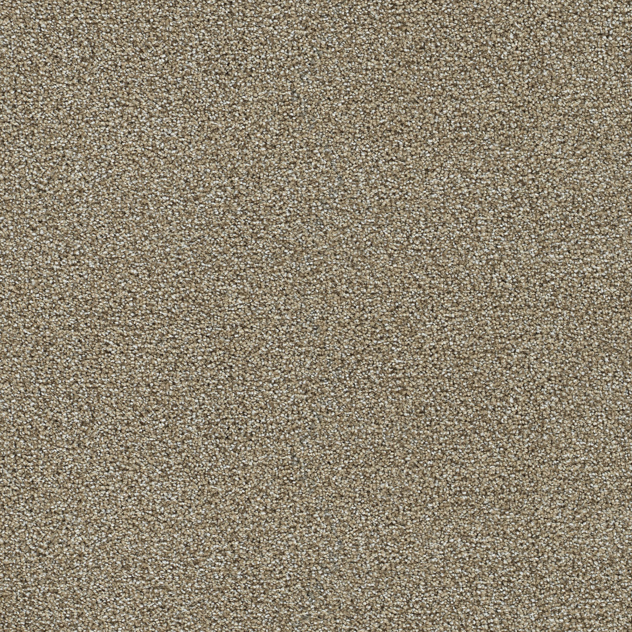 Toasted Oat Clearwater II swatch