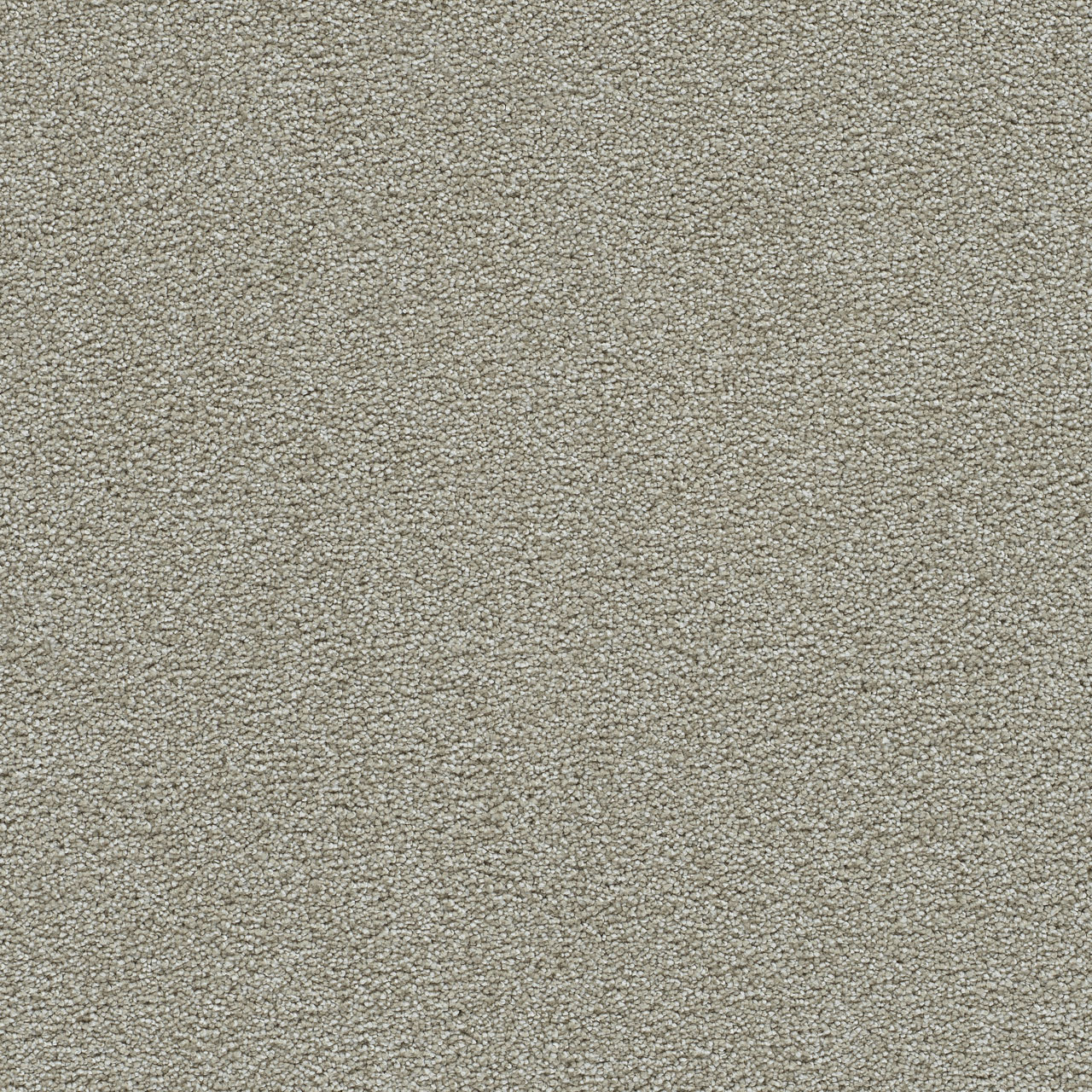 August Grove Clearwater III swatch