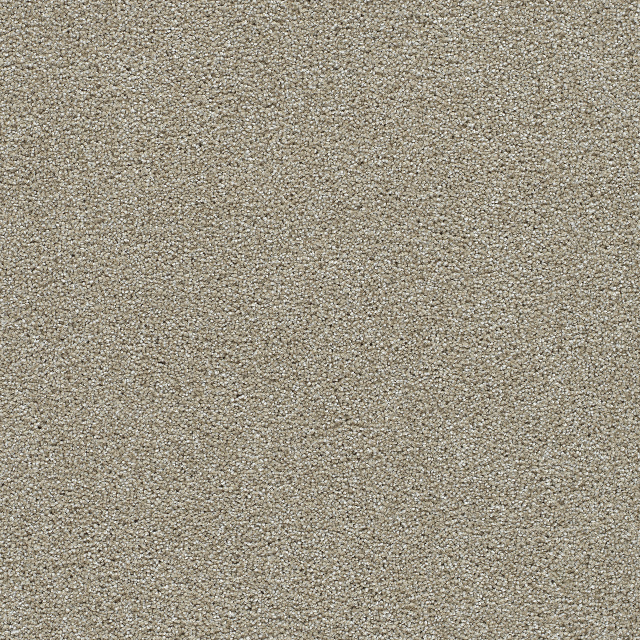 Wonder Clearwater III swatch
