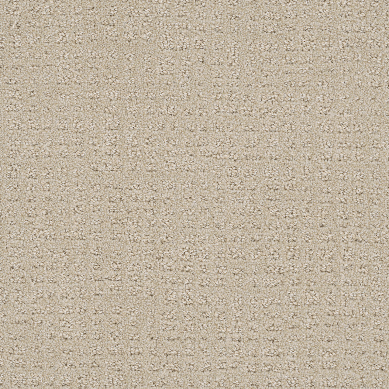 Champagne Fizz Common Ground swatch