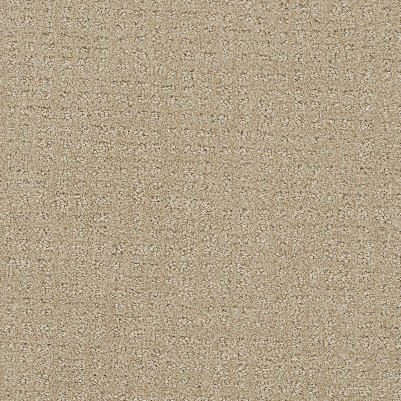 Soft Pine Common Ground swatch