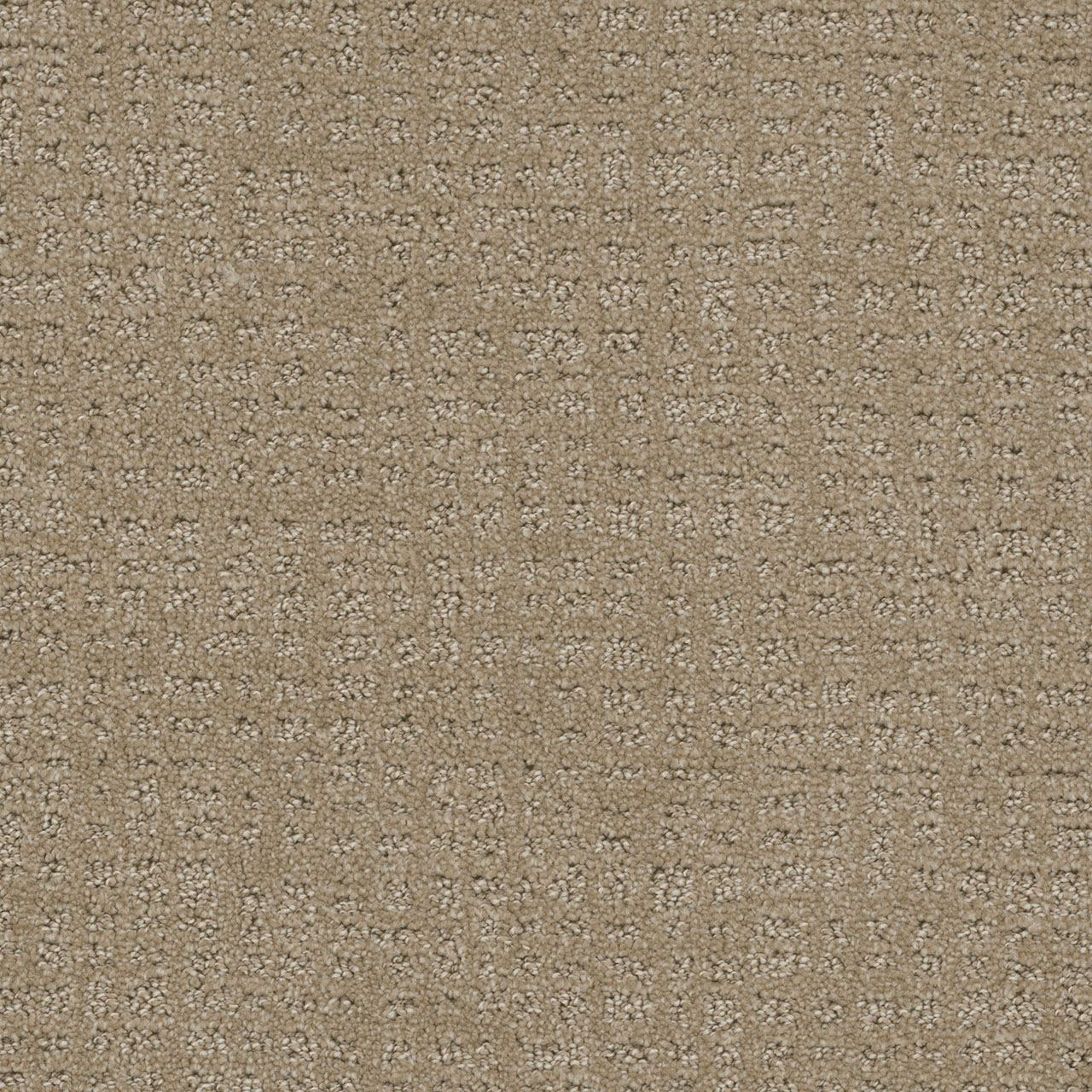 Warm Sand Common Ground swatch