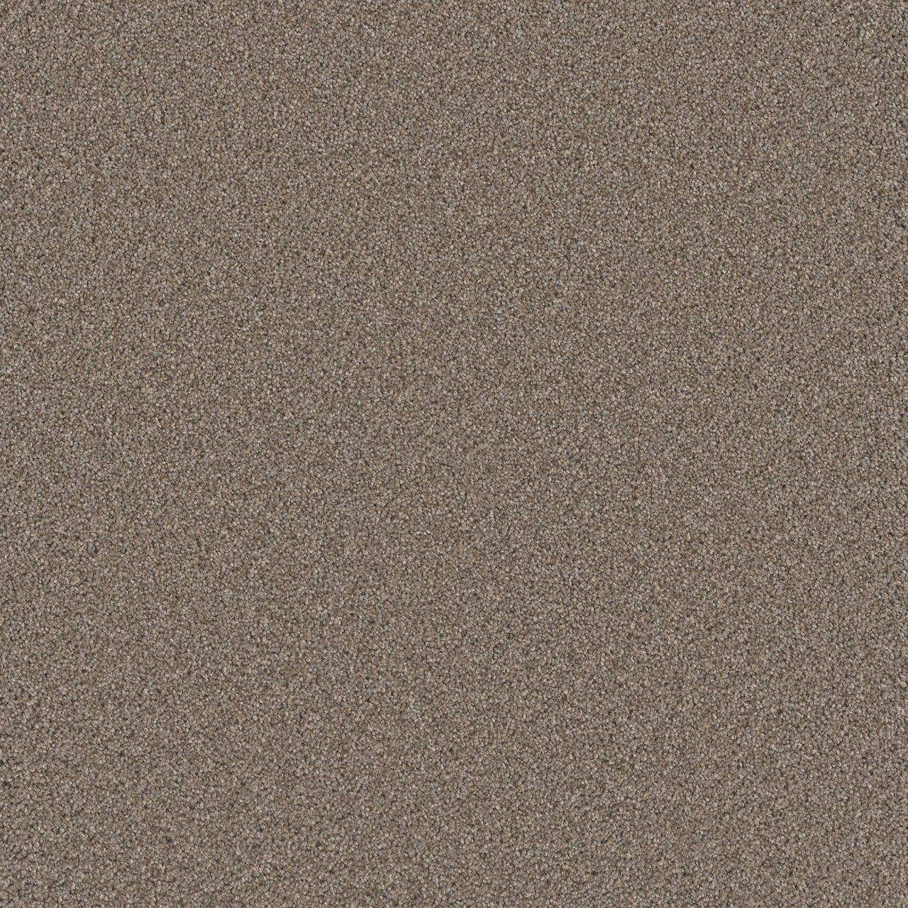 Ash Cosmopolitan II swatch