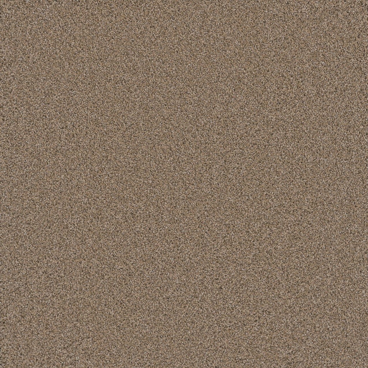 Ginger Cosmopolitan II swatch