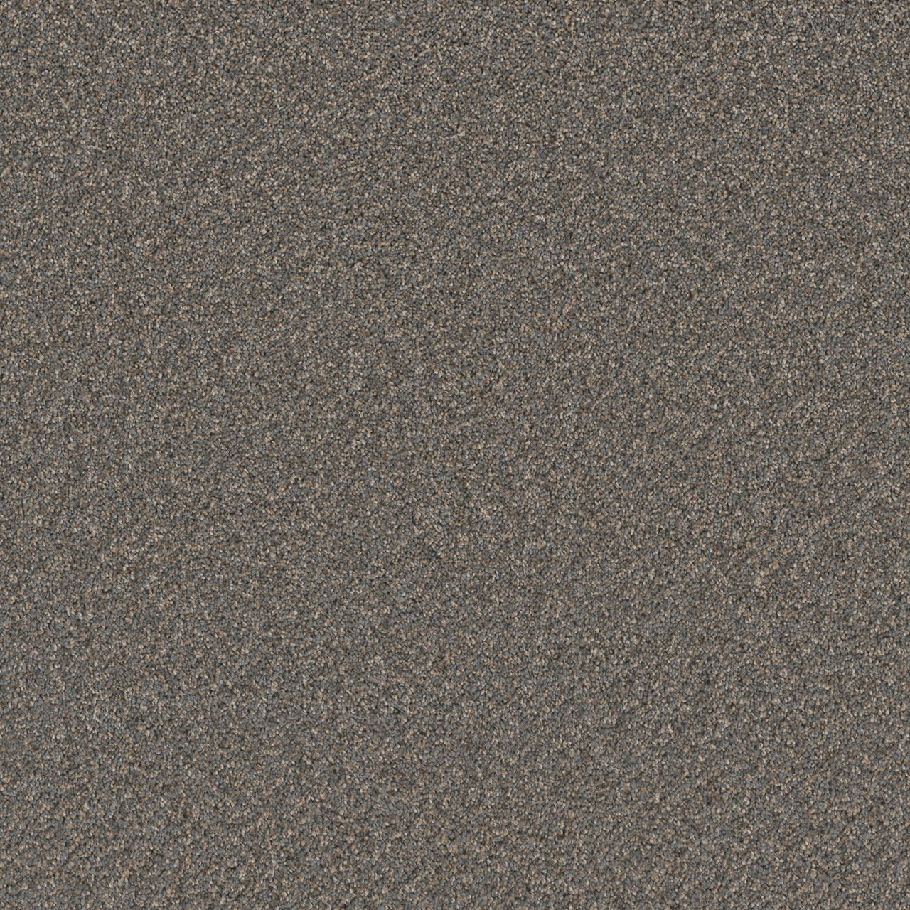 Horizons Cosmopolitan II swatch