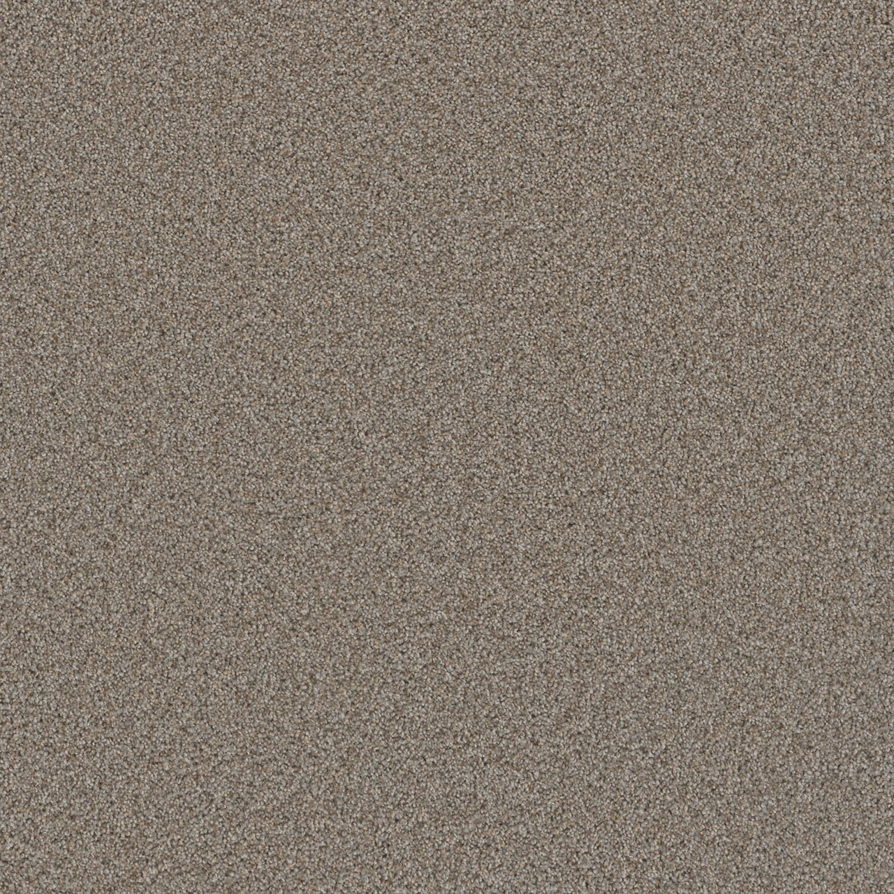 Iron Frost Cosmopolitan II swatch