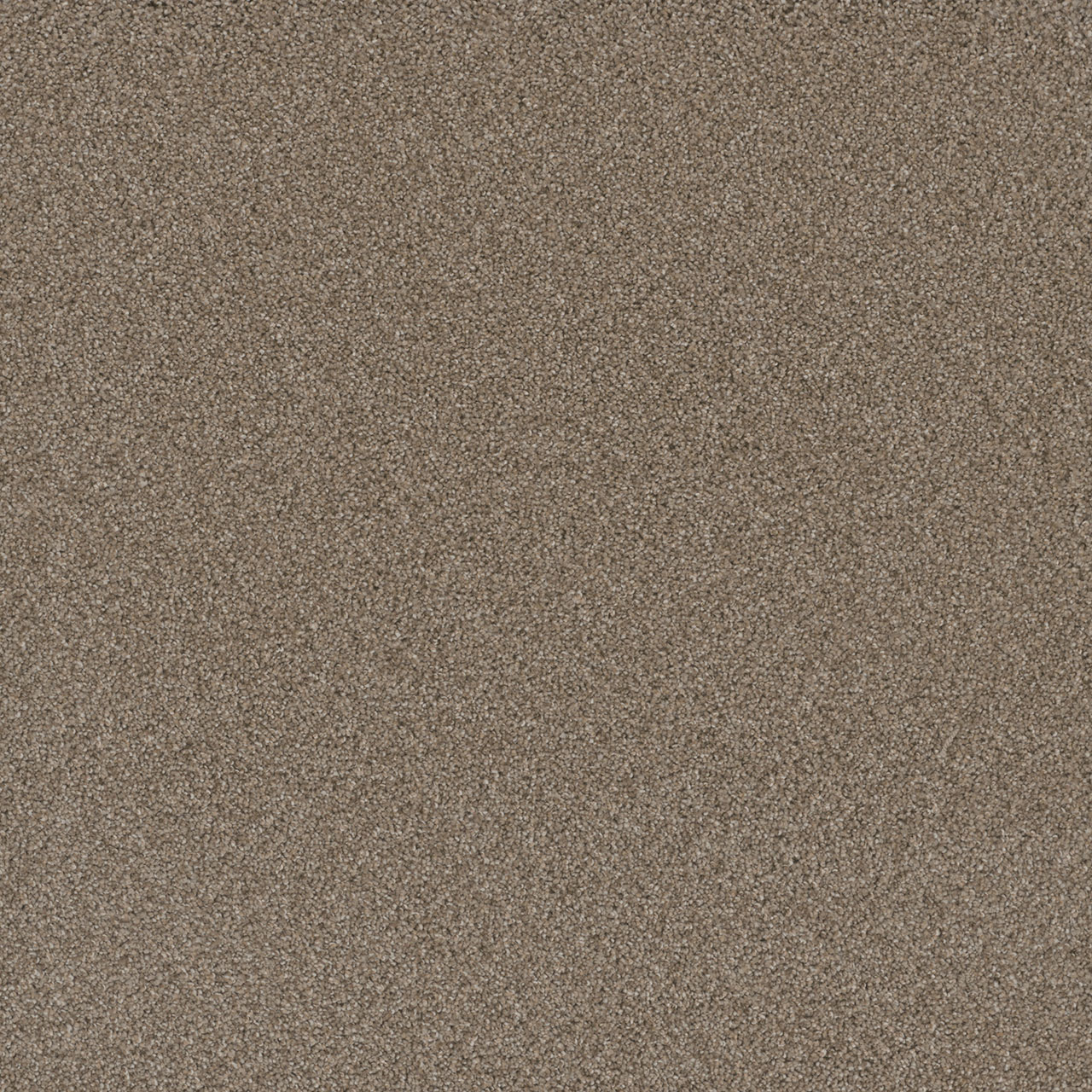 Mocha Cosmopolitan II swatch