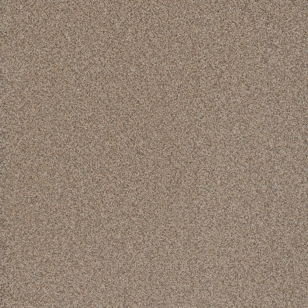Oxford Cosmopolitan II swatch