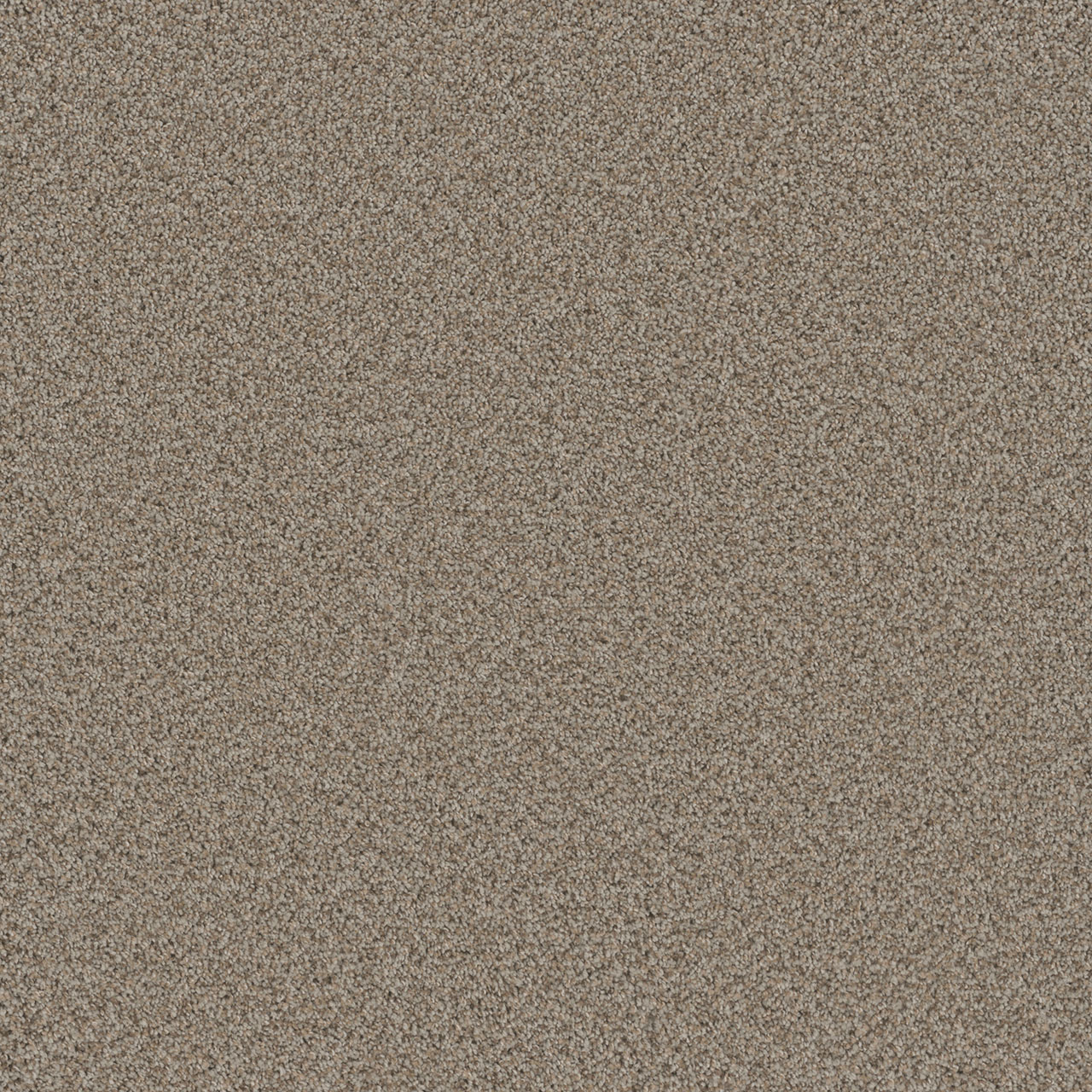 Stucco Cosmopolitan II swatch