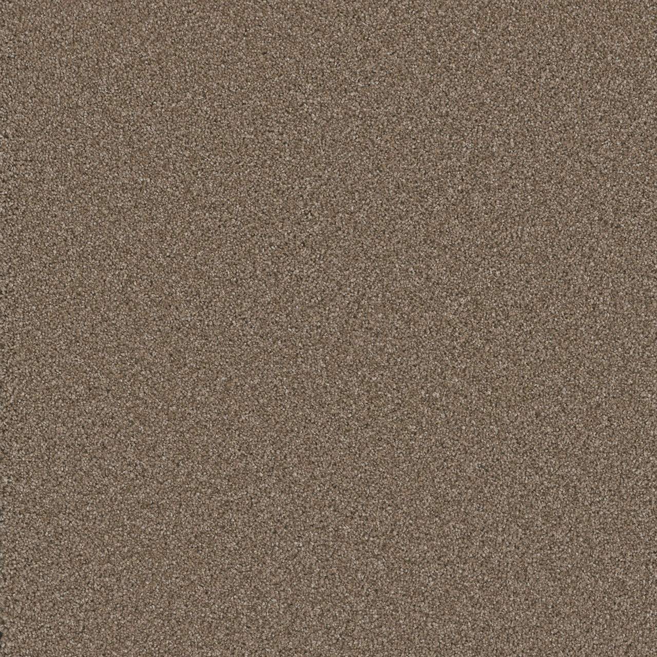 Tumbleweed Cosmopolitan II swatch