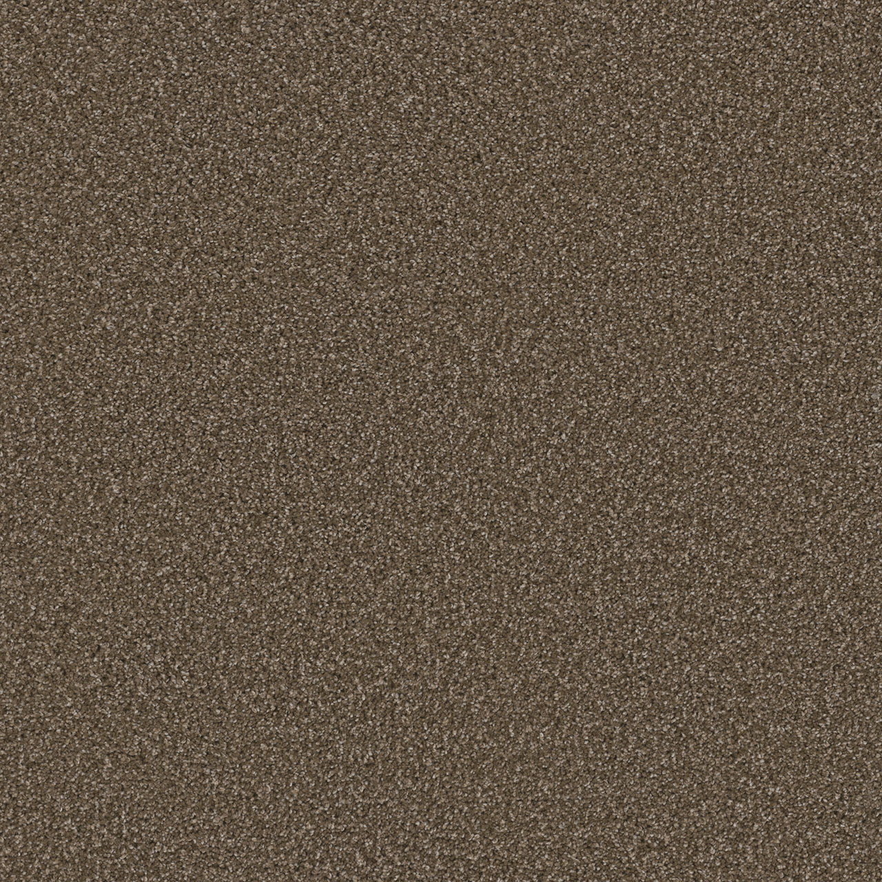 Wynwood Cosmopolitan II swatch
