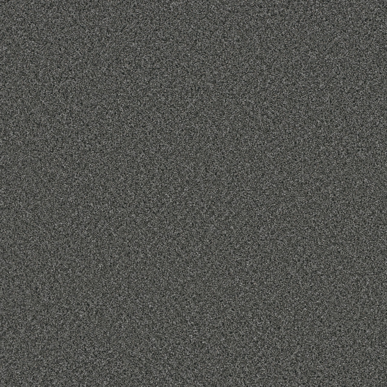 Zinc Cosmopolitan II swatch