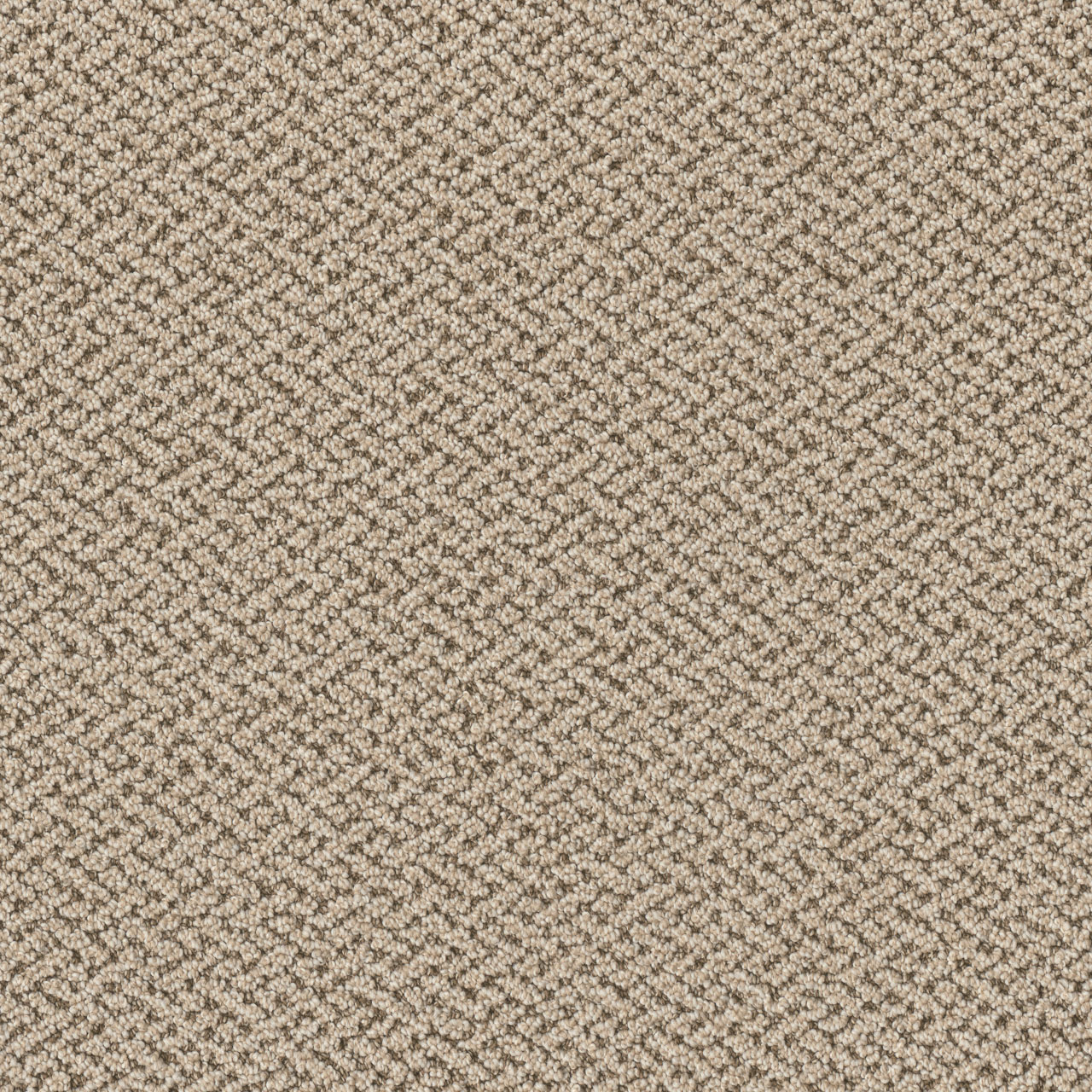 Venice Crete swatch