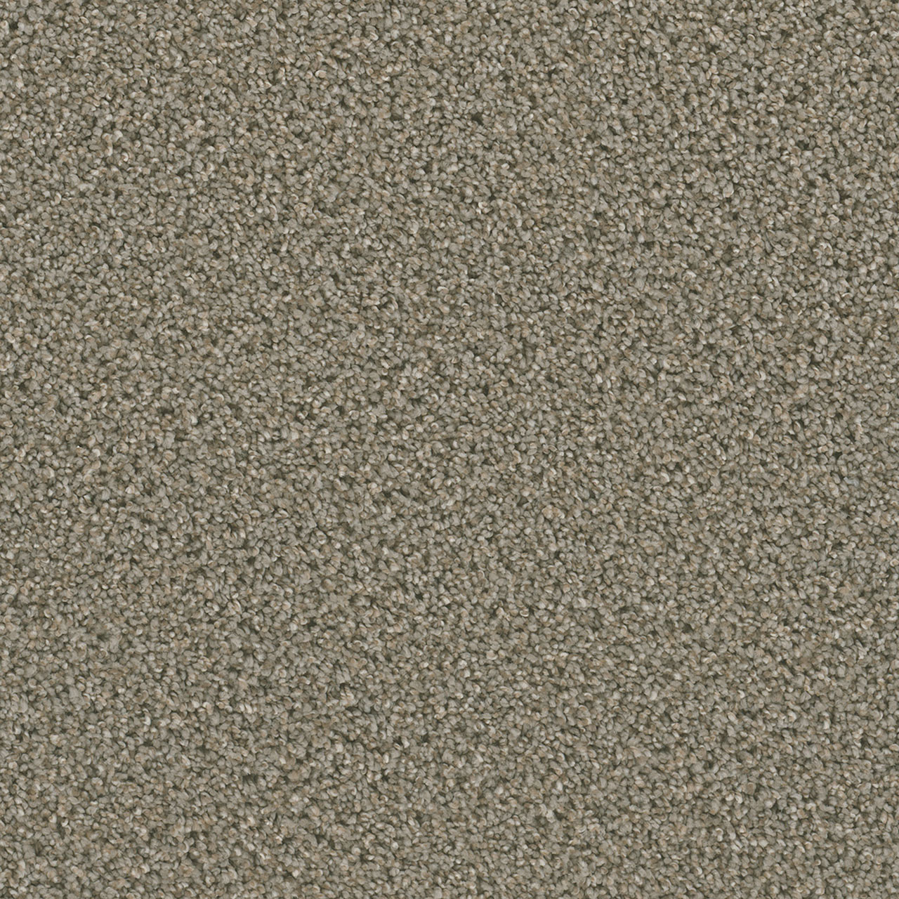 Ash Dazzling swatch