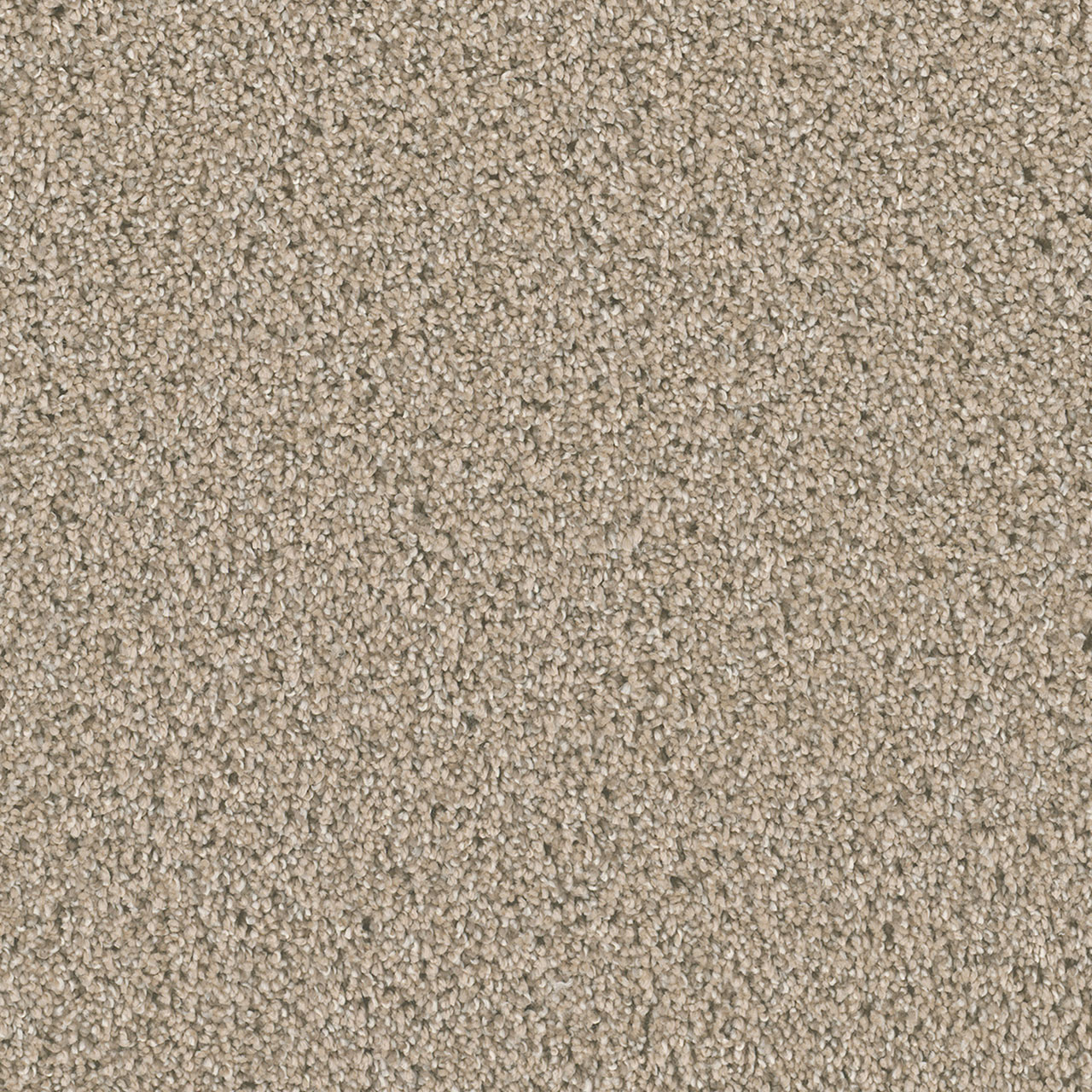 Ginger Dazzling swatch