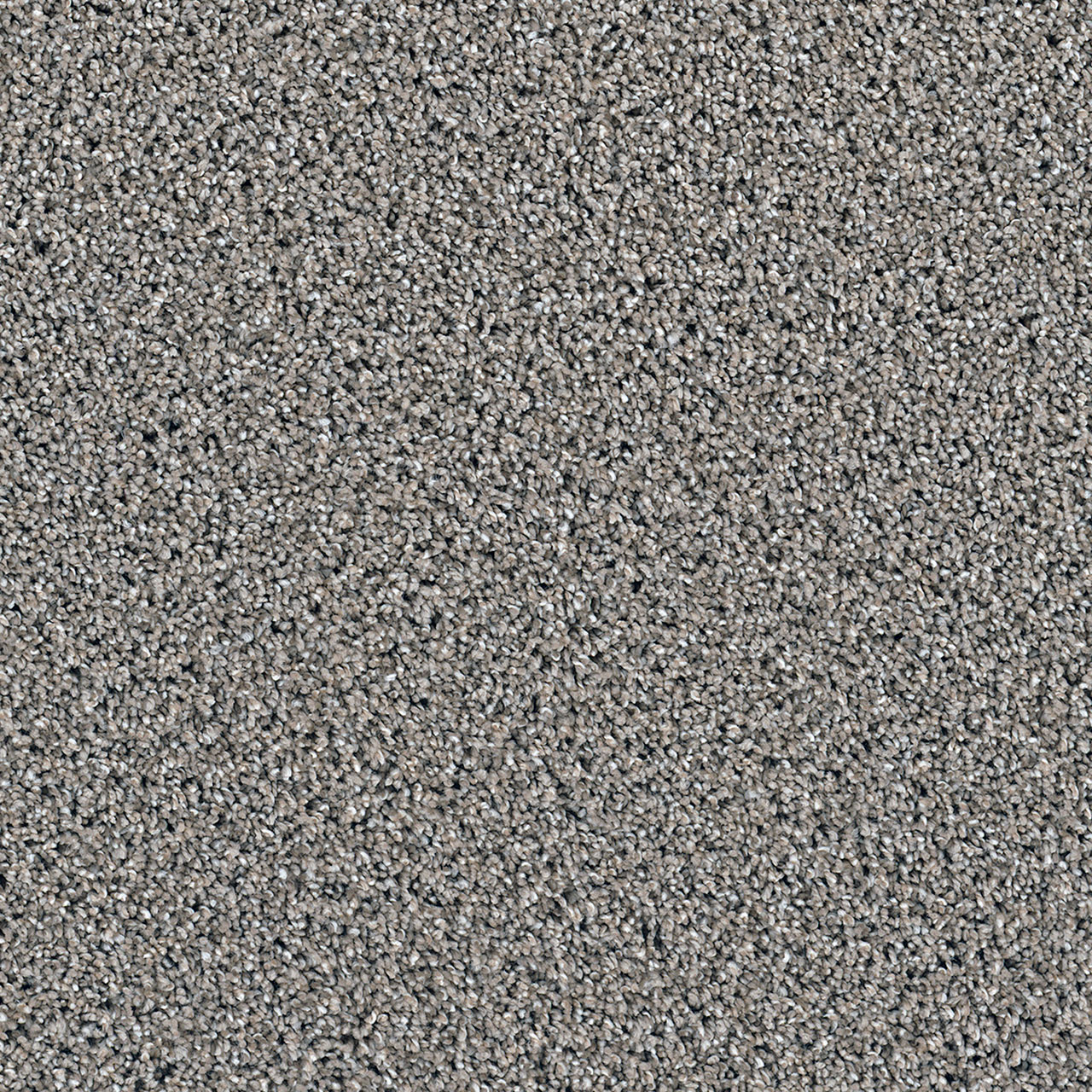 Mocha Dazzling swatch