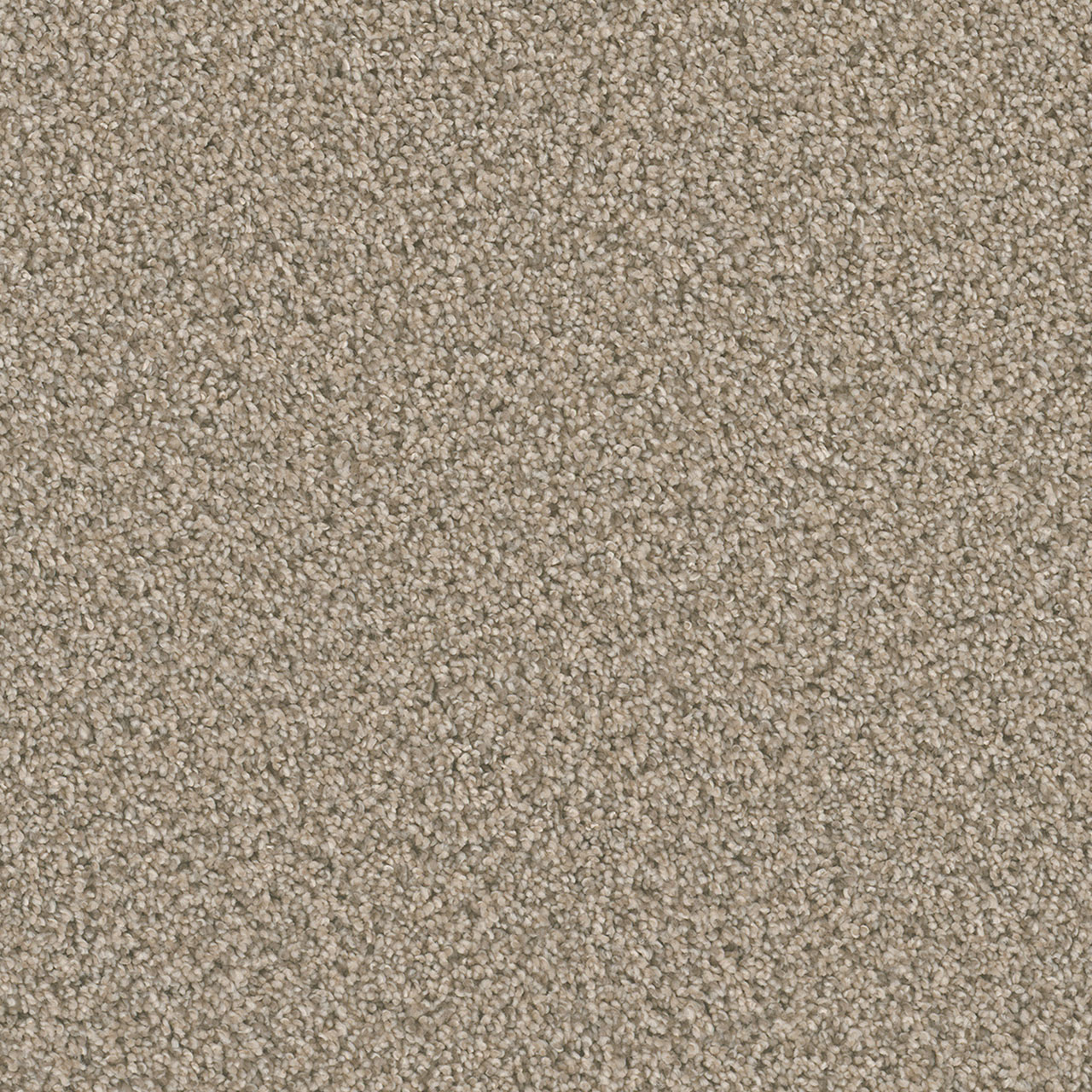 Oxford Dazzling swatch