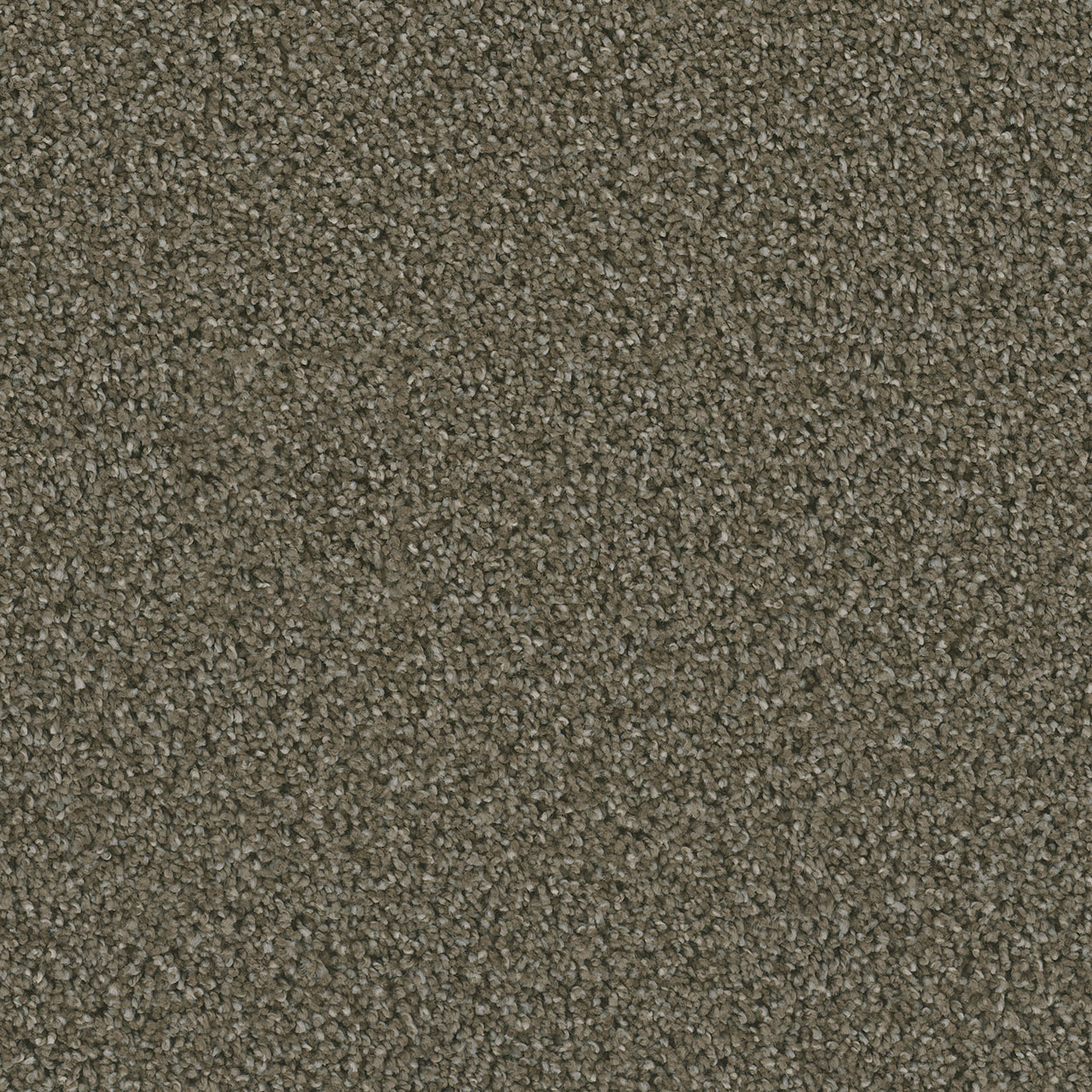 Peppercorn Dazzling swatch