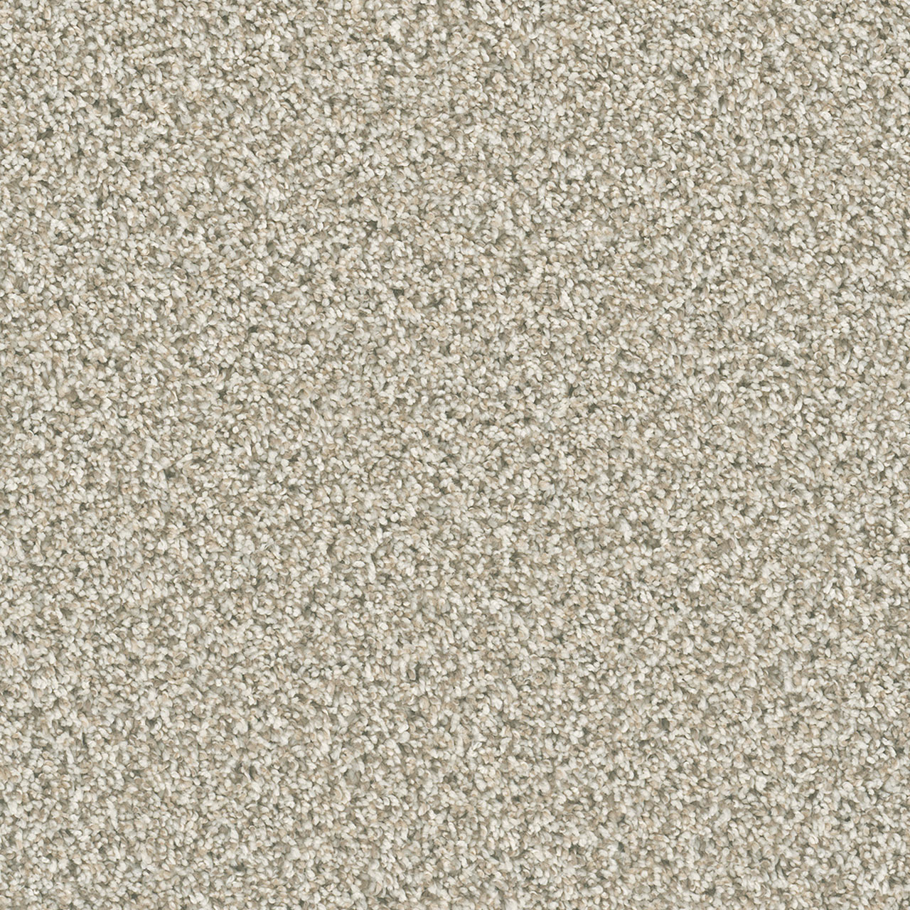 Seashells Dazzling swatch