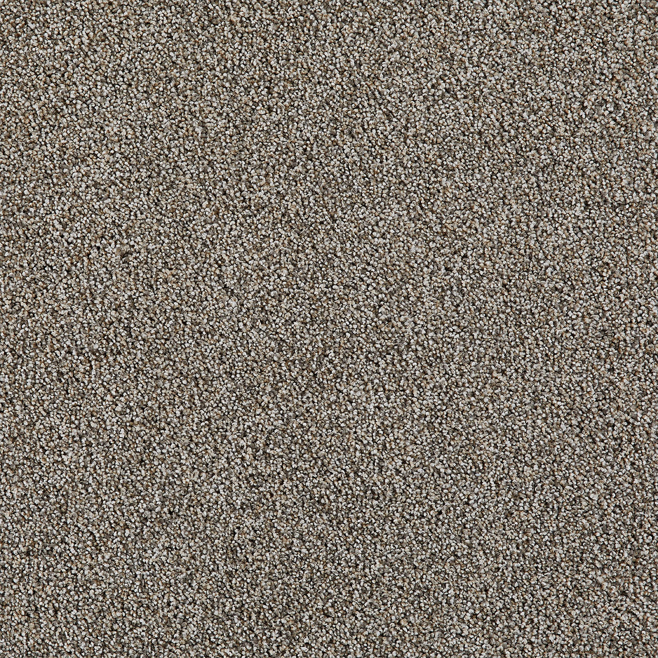 Welsh Excalibur IV swatch