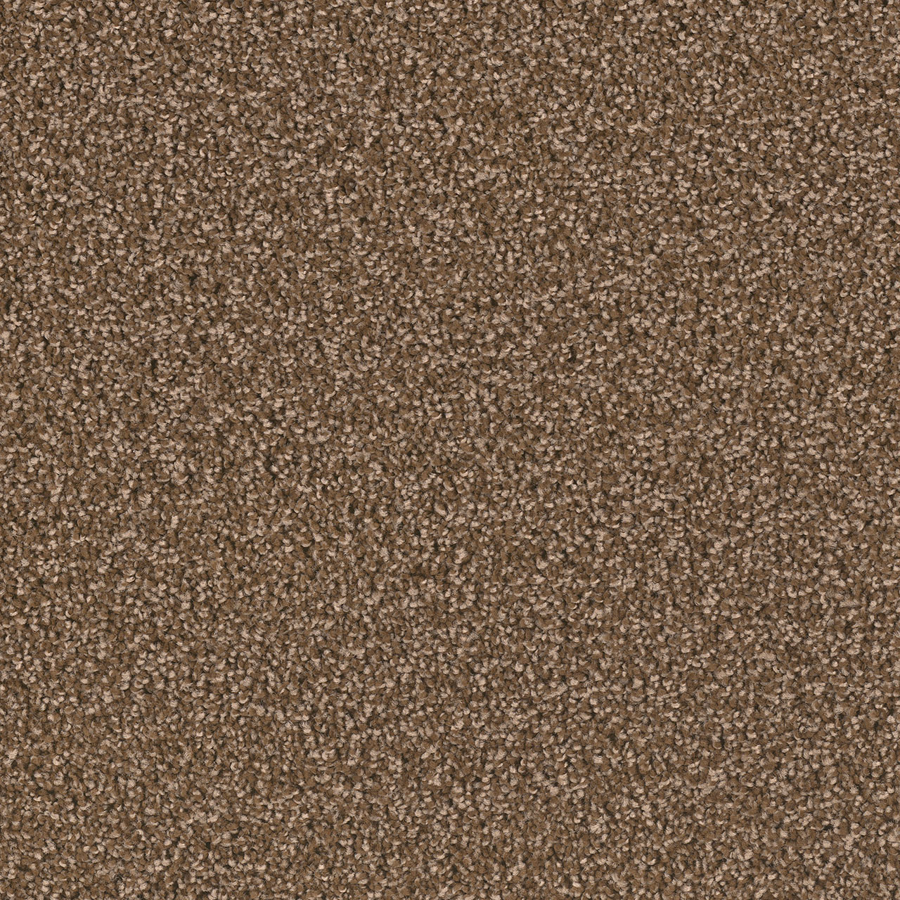 Black Walnut Exceptional II swatch