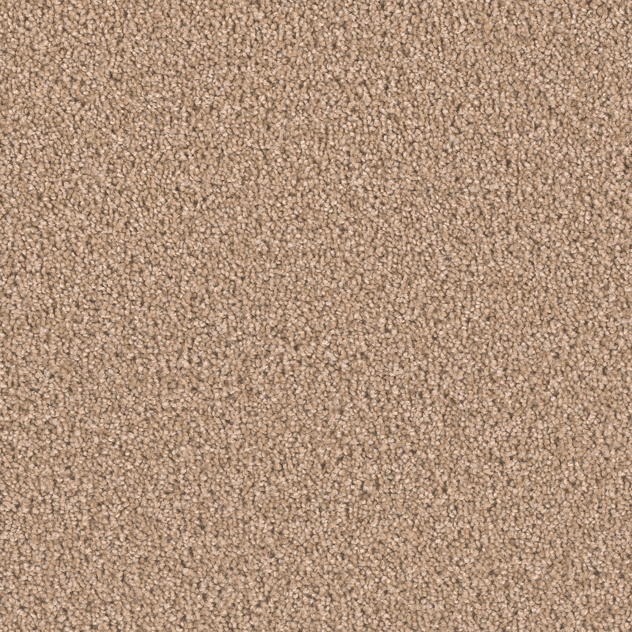 Buff Exceptional II swatch