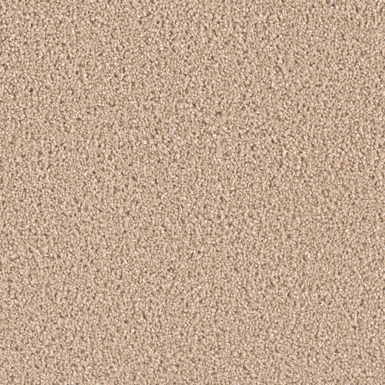 Cashmere Exceptional II swatch