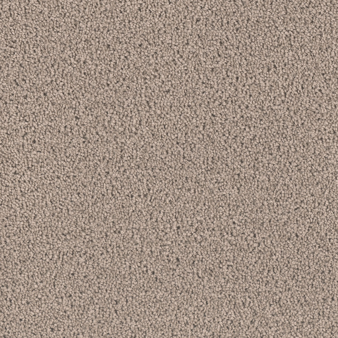 Castle Exceptional II swatch