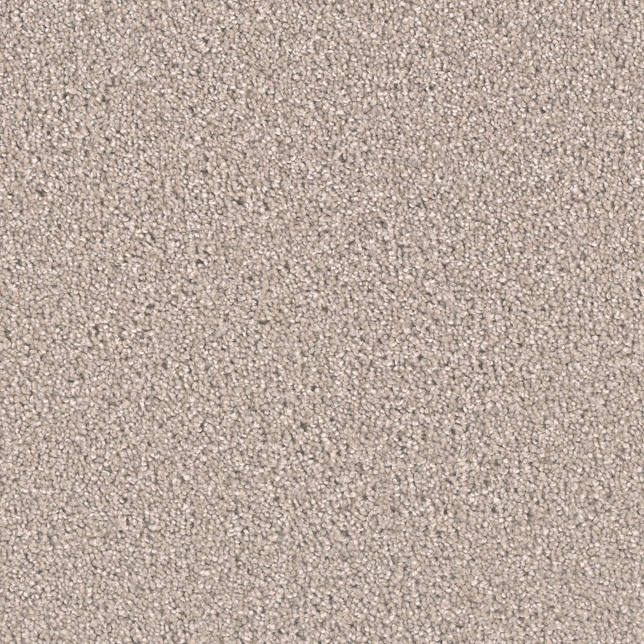 Clam Shell Exceptional II swatch