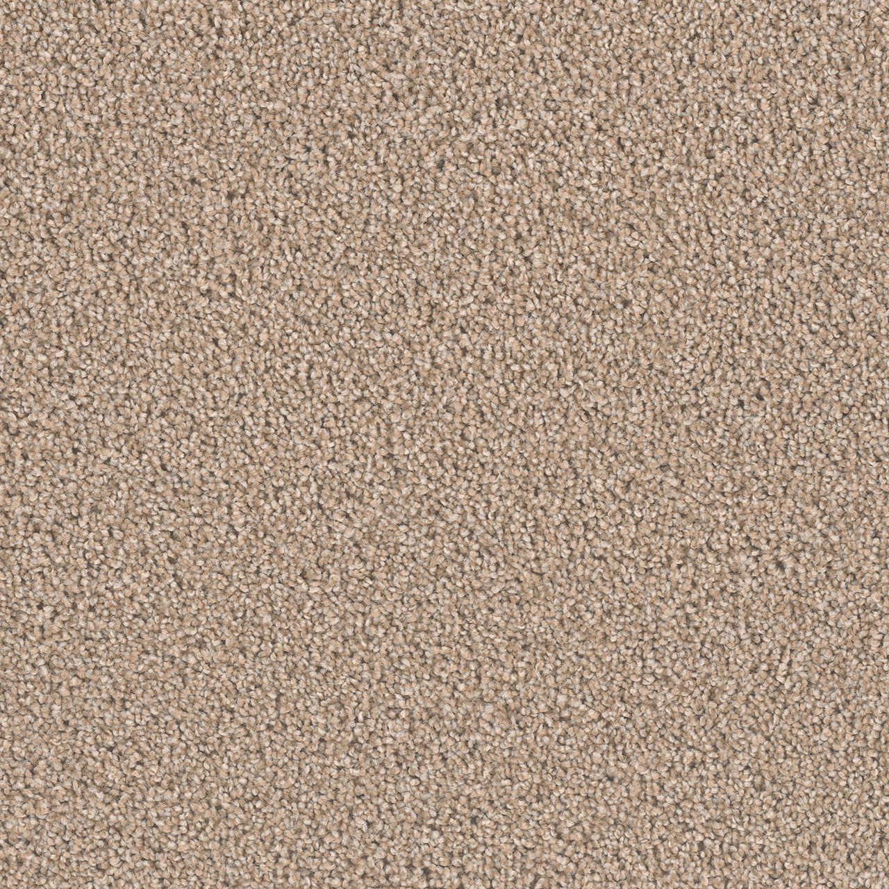 Coffee Exceptional II swatch