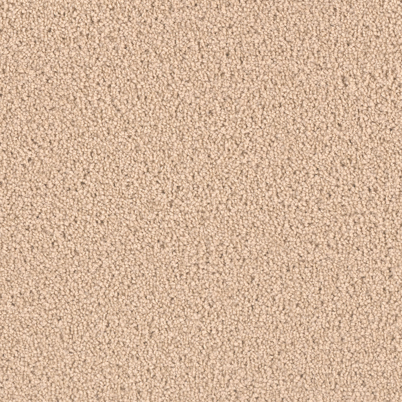 Cookie Dough Exceptional II swatch