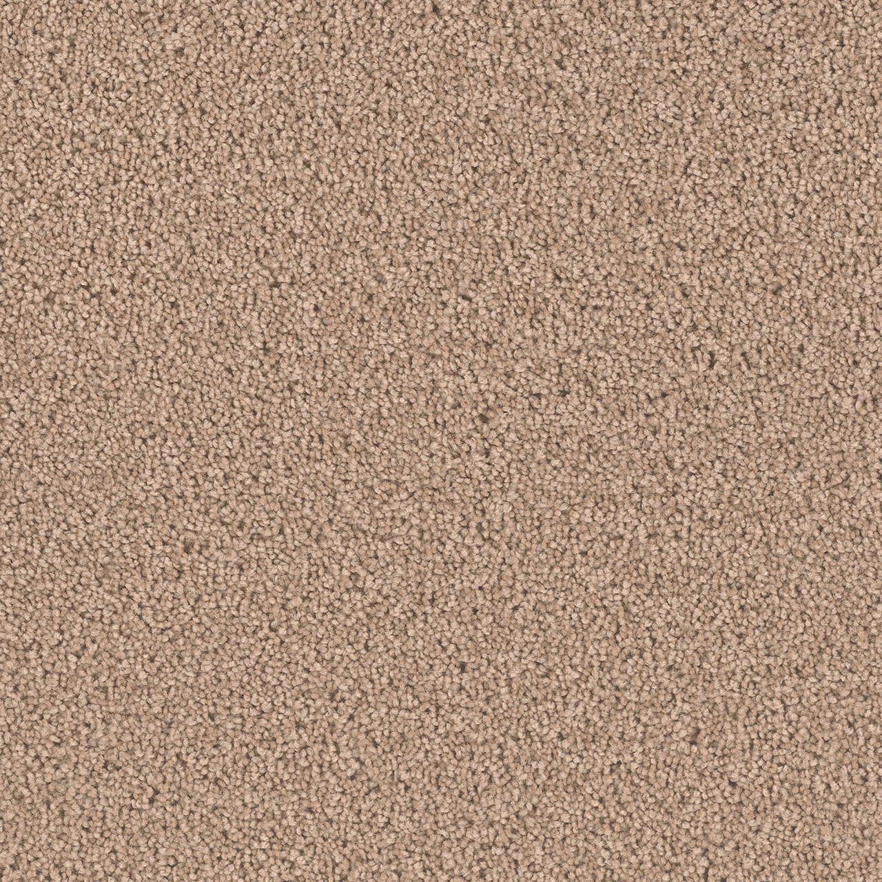 Doeskin Exceptional II swatch
