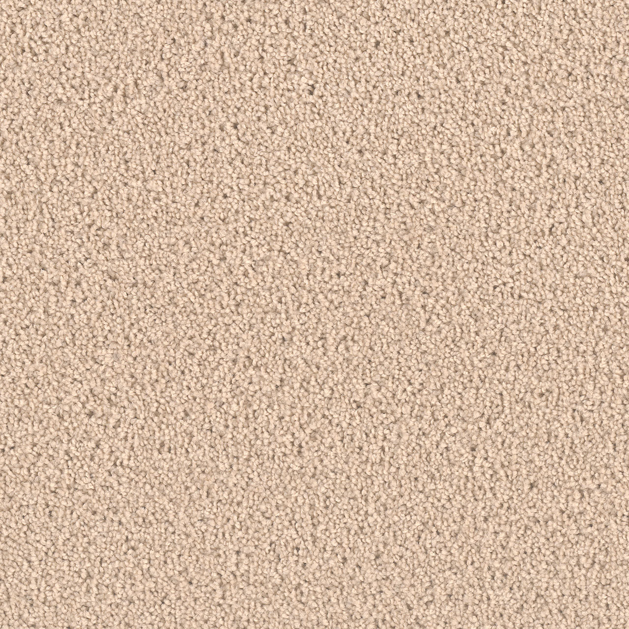 Eggshell Exceptional II swatch