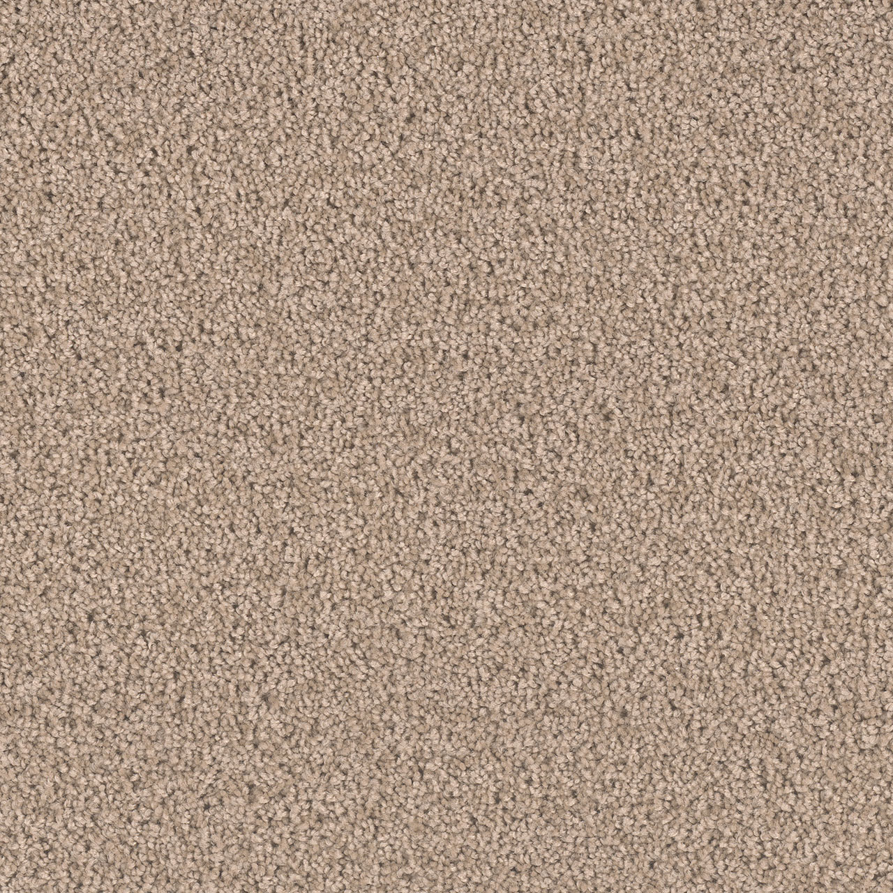 Hazlenut Cream Exceptional II swatch