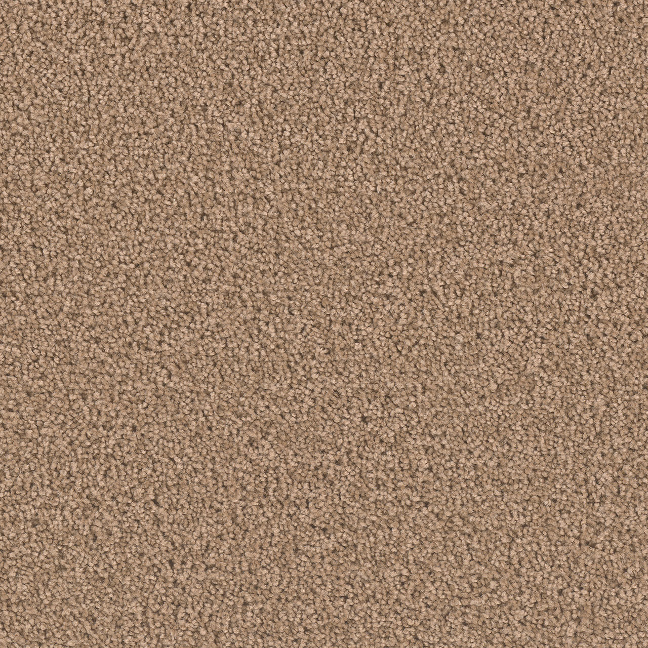 Sable Exceptional II swatch