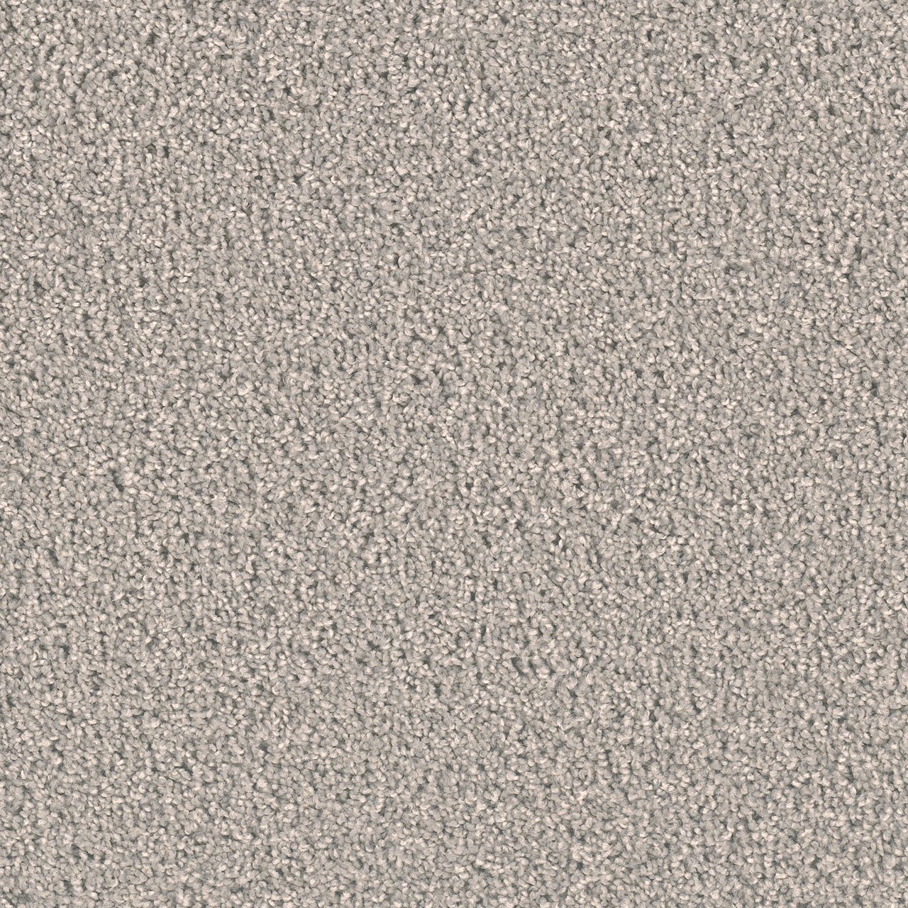 Silver Birch Exceptional II swatch